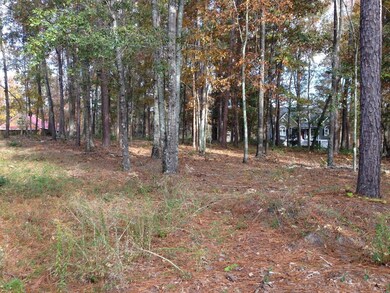 Lot 17 wooded pic