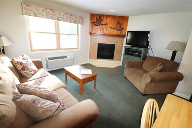 164 Deer Park Dr unit 161 B, Woodstock, NH 03262 - photo 4