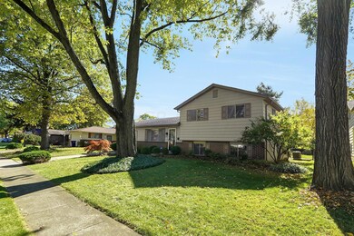 3-web-or-mls-2061-sharbot-dr
