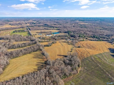 7525 Upper Snake Rd, Athens, AL 35614 - photo 7