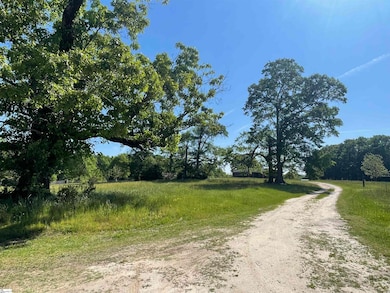 10 Clyde Rd, Fountain Inn, SC 29644 - photo 4