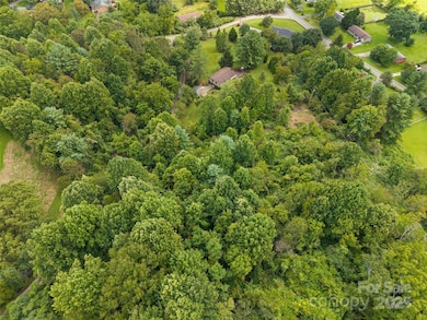 41 Red Fox Den Rd, Mars Hill, NC 28754 - photo 4