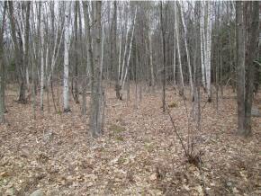 0 Davidson Hill Rd, Andover, VT 05143 - photo 4