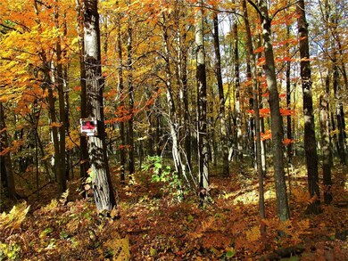 Lot 17 103rd St, Bone Lake, WI 54837 - photo 4