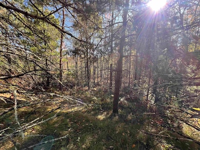 0 Cole School Rd, Beecher, WI 54156 - photo 4