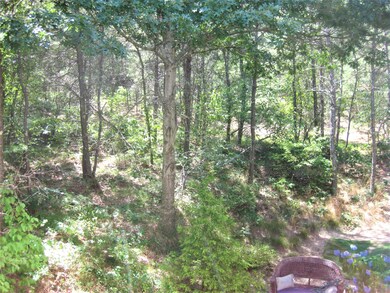 Private rear yard