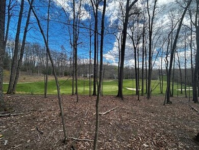 315 Tall Pines Dr unit 16, Daniels, WV 25832 - photo 7