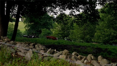 2039 Salt Point Turnpike, Salt Point, NY 12578 - photo 5