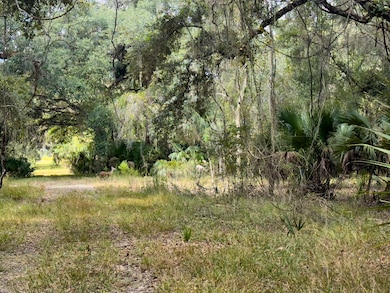 W C 48, Bushnell, FL 33513 - photo 6