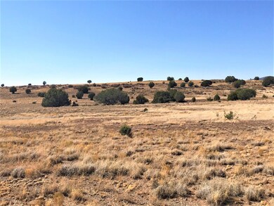 77 Off of Rawhide Ranch, Ash Fork, AZ 86320 - photo 7