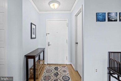 The Brittany unit 1119, Arlington, VA 22204 - photo 6