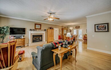 295 Carson Cove Rd, Ellijay, GA 30540 - photo 3