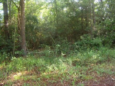 0 Mary & Marsha Dr, Slidell, LA 70458 - photo 6