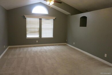 4127 E 105th Ave, Thornton, CO 80233 - photo 5