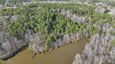 1074 Ridgeside Dr, Brandon, MS 39042 - photo 6