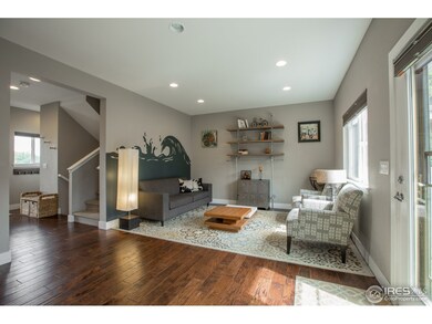 387 Osiander St, Fort Collins, CO 80524 - photo 6