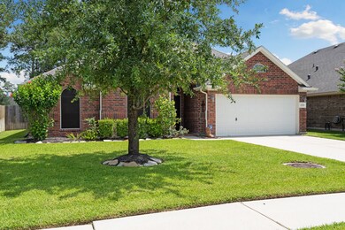 Large Oak Tree that provides plenty of shade 
