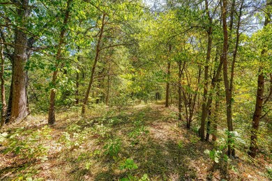 0 Clay Hill Rd, Logan, OH 43138 - photo 6