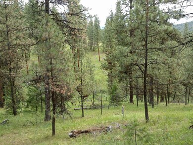 0 Malhuer Home unit 20598619, Prairie City, OR 97869 - photo 2