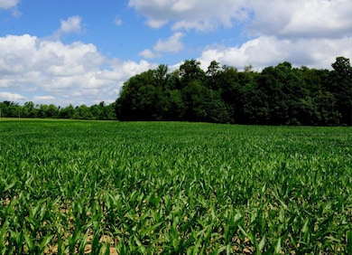 0 Buehler St Parcel 6, Galion, OH 44833 - photo 2