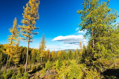 Nhn McGinnis Meadows - Bayhorse Road Section 5, Libby, MT 59923 - photo 4