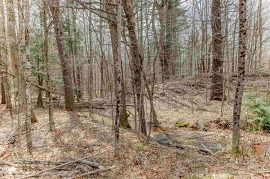 00 Hurricane Mountain Rd, North Conway, NH 03860 - photo 3