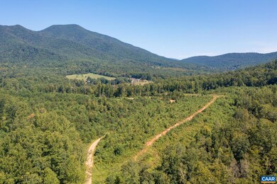 TBD Cub Creek Rd, Massies Mill, VA 22967 - photo 3