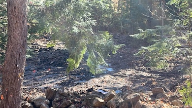 00 Dundee Rd unit R00, Bartlett, NH 03812 - photo 5