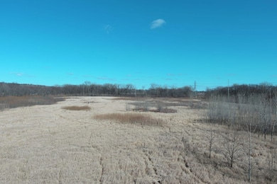 1992 W 65th Ave, Rock Island, IL 61201 - photo 3