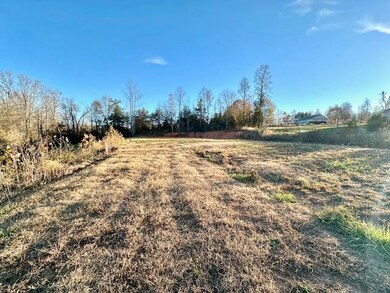 184 Spivey Creek Rd, Landrum, SC 29356 - photo 4