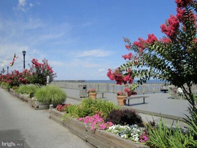 4013 10th St, North Beach, MD 20714 - photo 5