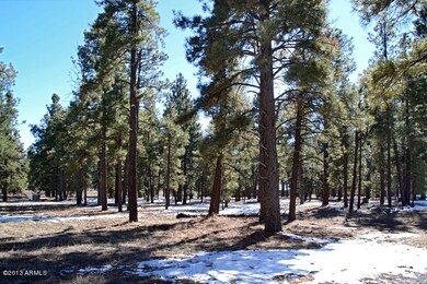 Looking South