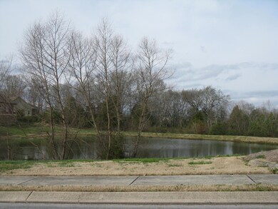 Community Pond