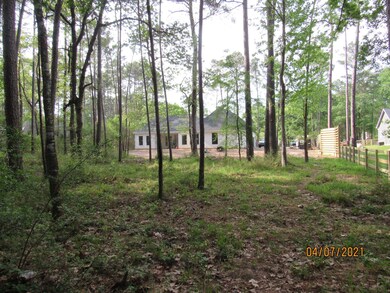 591 Camwood St, Magnolia, TX 77355 - photo 6