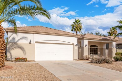 03 Smoke Tree 74