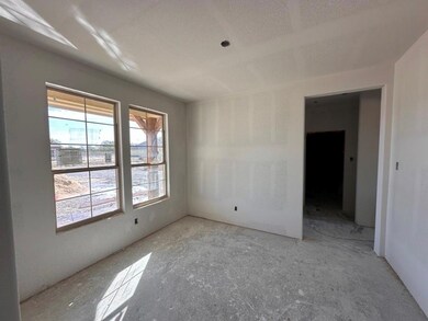 122 Brush Creek Dr, Boyd, TX 76023 - photo 3