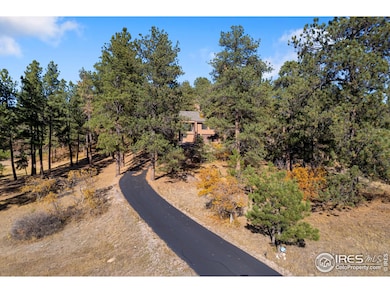 10691 Tomichi Dr, Franktown, CO 80116 - photo 6