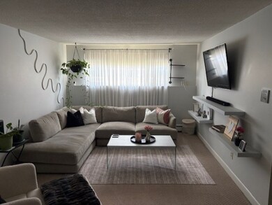 189 River St unit 6, Waltham, MA 02453 - photo 5