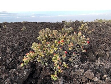 0 Cocoanut Dr unit 724416, Ocean View, HI 96737 - photo 3