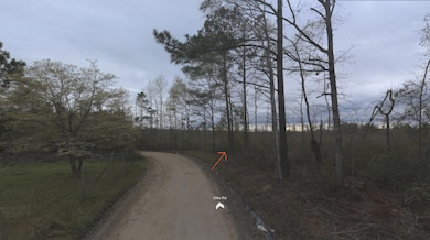 0 Dike Rd unit 25010257, Bonneau, SC 29431 - photo 4