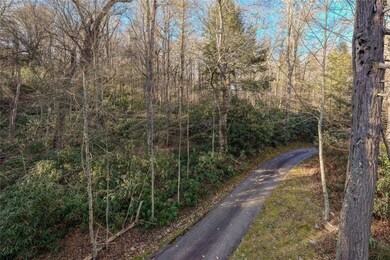 Lot 7 Ravenel Lake Trail, Highlands, NC 28741 - photo 6
