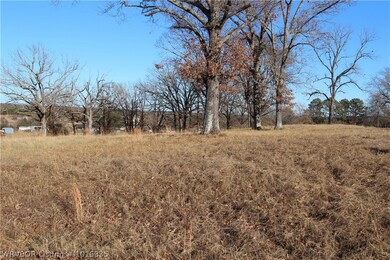 314 & 318 Stone Mountain Loop, Alma, AR 72921 - photo 6