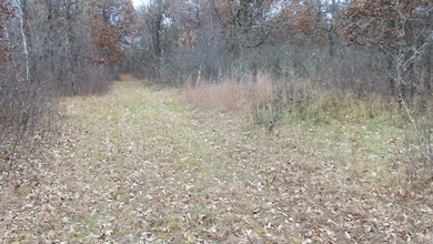 Lot 3 300th St, Sterling Township, WI 54024 - photo 3