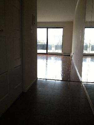 8045 Oconnor Dr unit 2C, River Grove, IL 60171 - photo 5