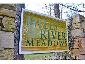 Mills River Meadows
