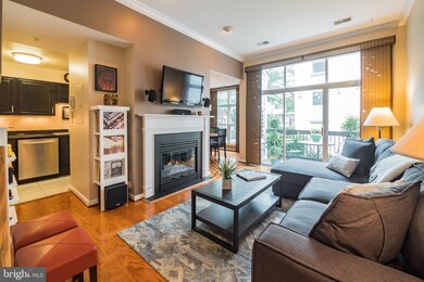 2407 1/2 20th St NW unit 97, Washington, DC 20009 - photo 3