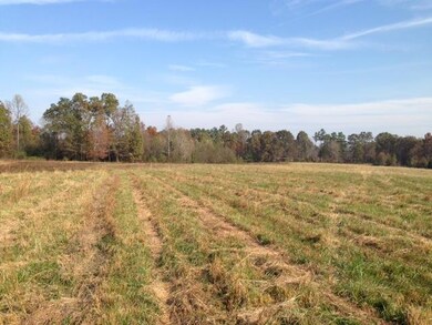 3770 Pollard Rd, Walling, TN 38587 - photo 4