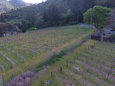 DJI_0602