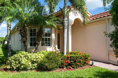11353MountainAsh-4