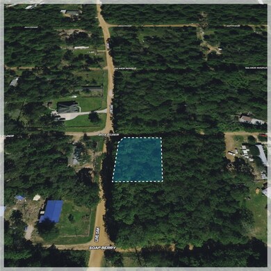 00 Live Oak Dr, Plantersville, TX 77363 - photo 4